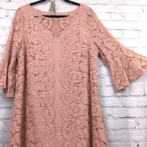 Lane Bryant Women's Romantic Feminine Lace Flounce Sleeve Pink Dress Size 14P - Picture 3 of 14
